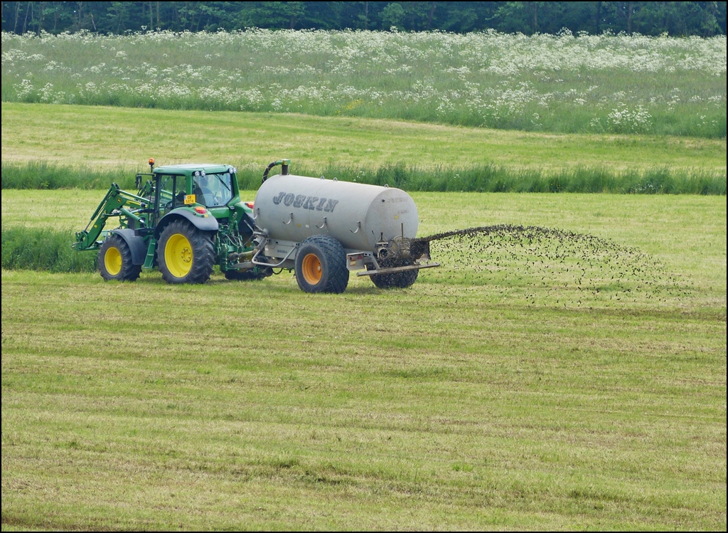 . Wie gut fand dieses duftende Ereignis gestern in Erpeldange statt, somit bleibt dem l�ndlichen Geruch noch gen�gend Zeit sich zu  verfl�chtigen . ;-) 08.06.2013 (Hans)