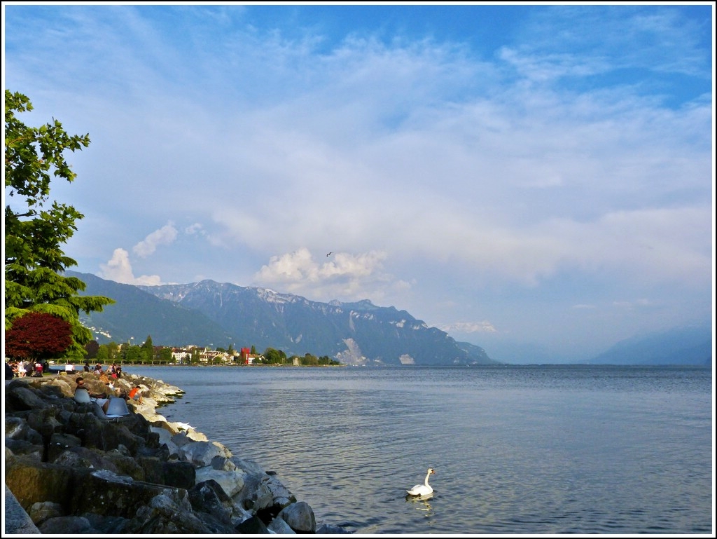 An Hand der drei Bilder d�rfte die geografische Lage wohl gekl�rt sein:: Dieses Bild zeigt ungef�hr dieselbe Aussicht wie Armins Foto mit den Geranien. Vevey,  25.05.2012 (Jeanny)