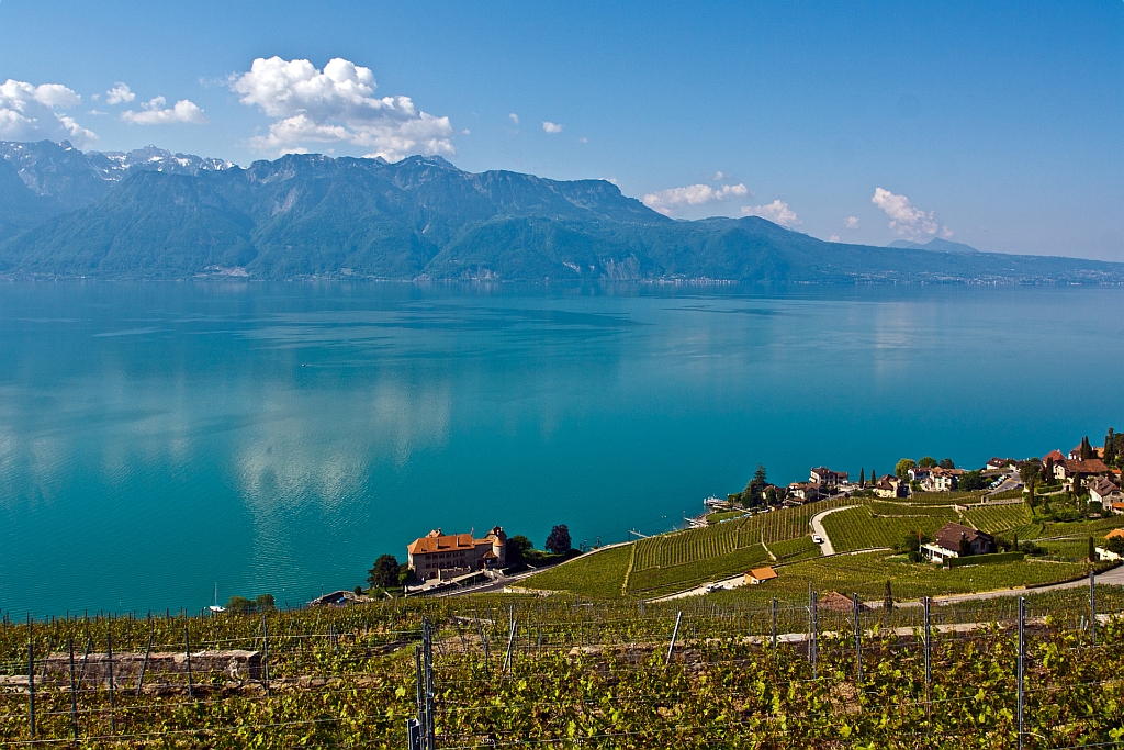 Blick auf den Gefersee am 28.05.2012 bei Chexbres. Am Ufer des Sees das Ch�teau de Gl�rolles. Das friedliche Leben des ehemaligen Dorfes von Gl�rolles (Glerula) endet im Jahre 563 als pl�tzlich die Ufer des Genfersees von einer Flutwelle erafsst werden und neu entsteht die heutige Ortschaft Saint-Saphorin. Allein das Schloss tr�gt heute noch den Namen Gl�rolles, der damals r�mischen Ortschaft Glerula (lat. Kies/Kieselsteine), welche der Naturkatastrophe zum Opfer fiel. Rechts beginnt die Gemeinde Rivaz (VD).