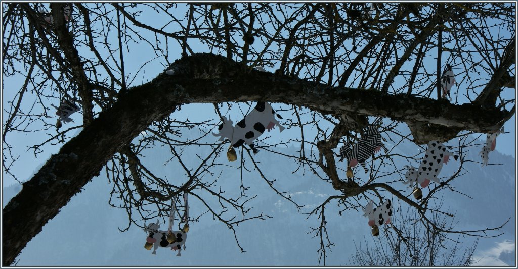 Die Nachfrage nach Linsenputzer treibt seltsame Bl�ten...
(26.02.2013)