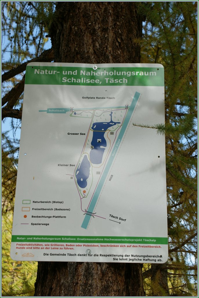 Ein interessantes Bild zu einem ebensolchen Diskussionsthema...
Bei T�sch, am 19. Oktober 2012