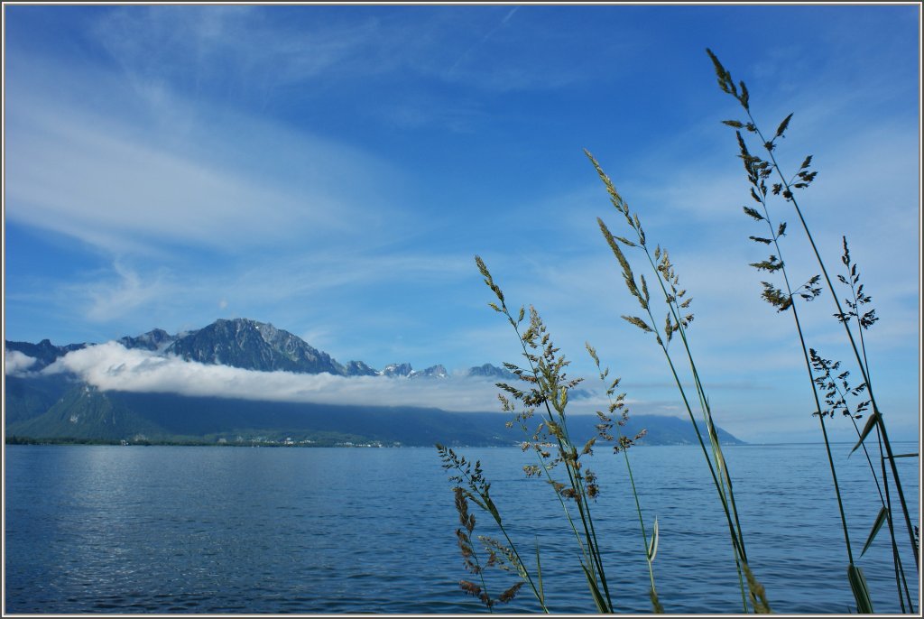 Eine klare Sicht auf den Grammont 2172m.�.M bot sich nach drei Wochen Regen am 14.06.2012
 
