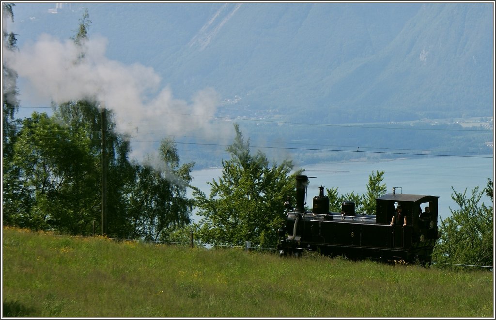 Eine kleine Lokomotive auf grosser Fahrt...
(27.05.2012)