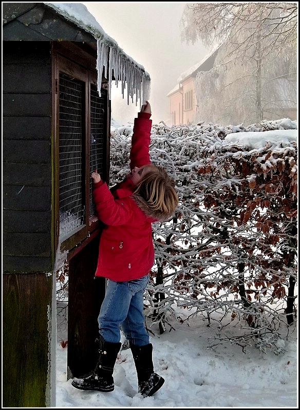 Eiszapfenpfl�cken am 31.12.2010 in Berl�. (Jeanny)