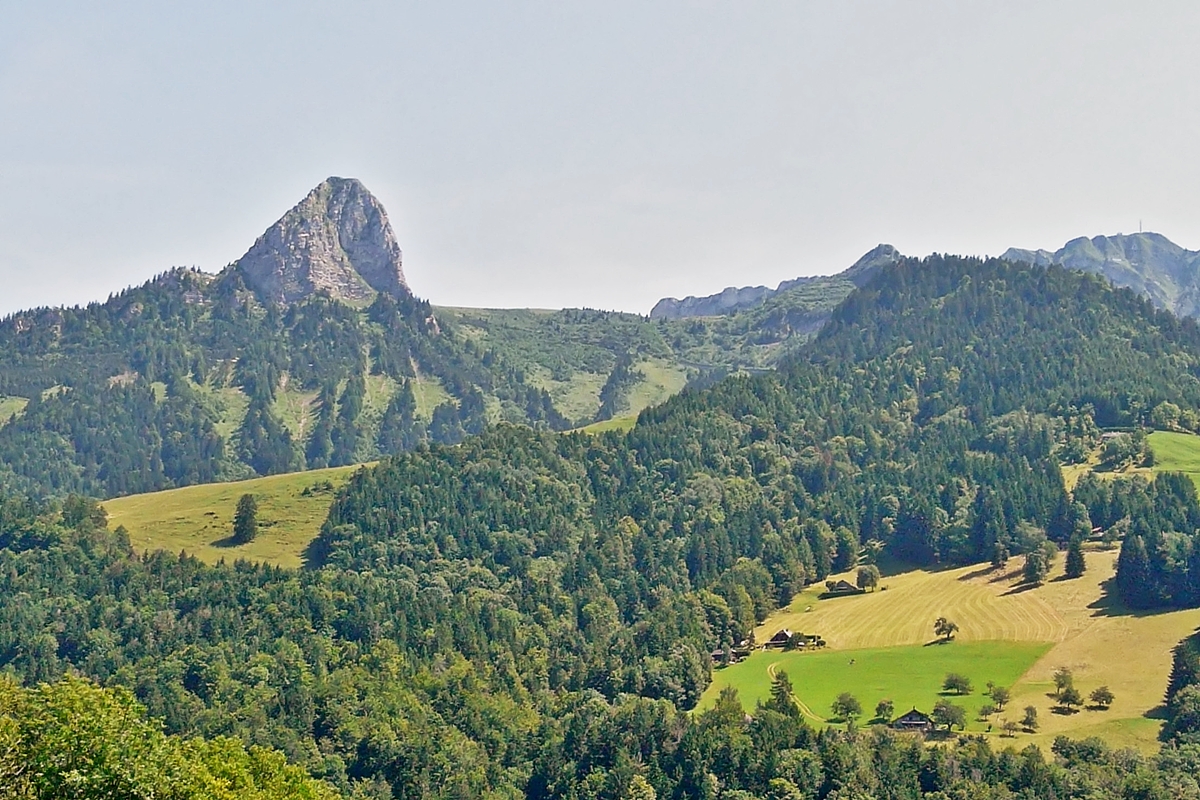. Aussicht aus dem Zug auf den Dent de Jaman und den Rochers de Naye in der N�he von Les Avants. 31.07.2008 (Jeanny)