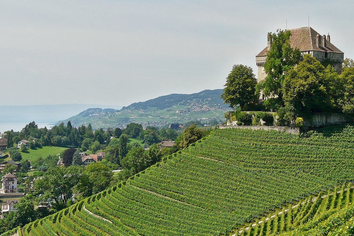 . Blick aus dem Zug auf der Ch�teau de Ch�telard und die Weinberge oberhalb von Montreux.31.07.2008 (Jeanny) 