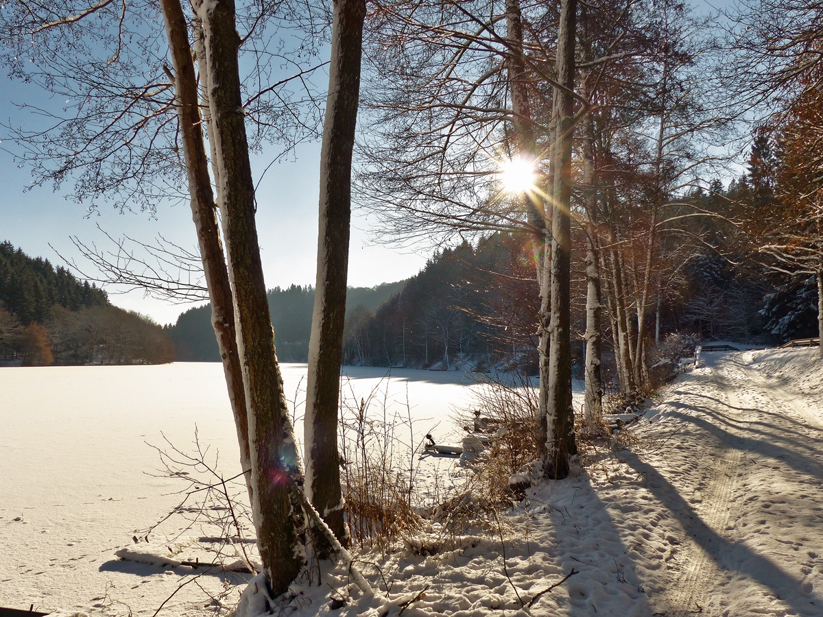 . Die knackigen -10� werden durch die morgendliche Wintersonne des 18.01.2017 etwas abgemildert. (Jeanny)