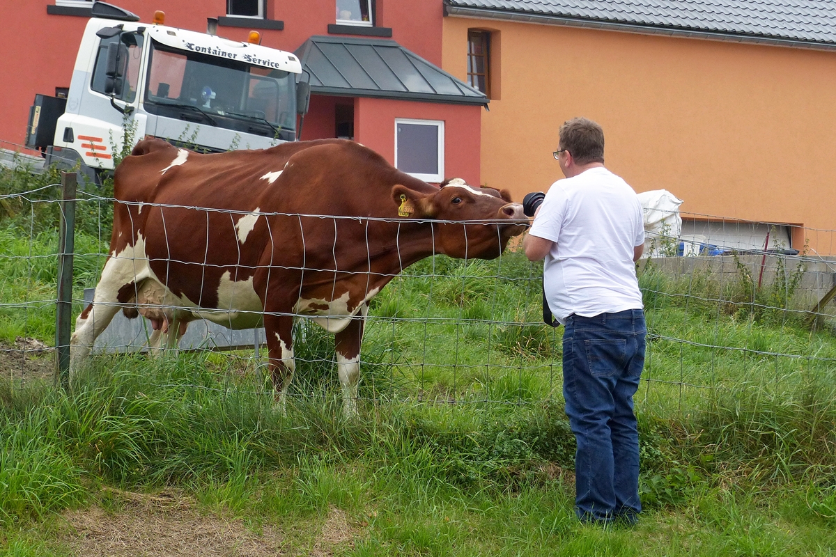 . Endlich gibt es wieder Arbeit f�r die Linsenputzer in Erpeldange. 13.09.2014 (Jeanny)