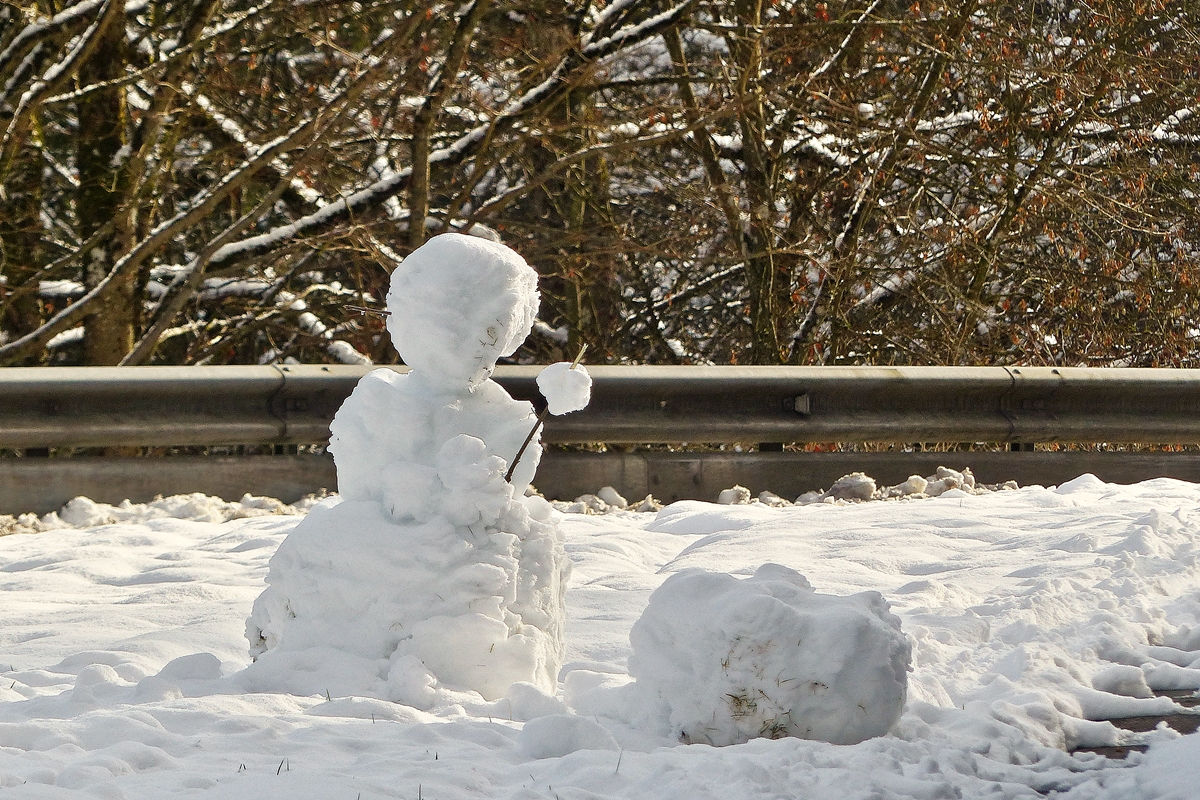 . F�r alle Schneem�nner und -frauen, es geht doch nichts �ber das Original. ;-)
02.04.2015 (Jeanny)