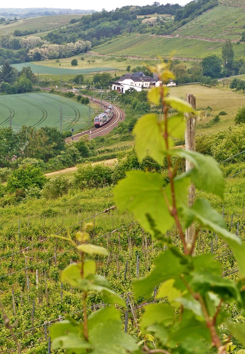 . W�hrend der junge Wein am Grutenh�uschen w�chst und gedeiht, f�hrt am 20.05.2018 ein CFL KISS zwischen Wasserbilligerbr�ck und Igel in Richtung Trier auf seiner Reise von Luxembourg nach Koblenz. (Jeanny)