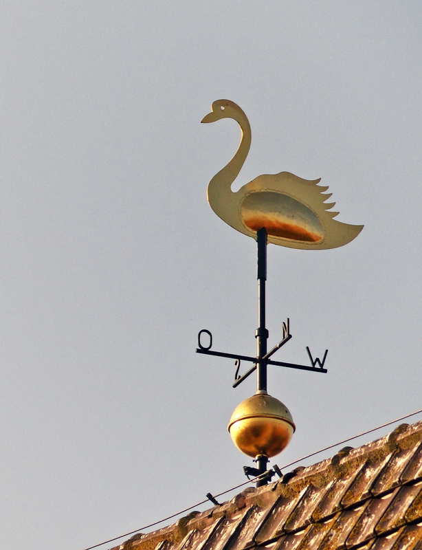 . Wetterhahn oder besser Wetterschwan auf Baltrum. 06.10.2014 (Jeanny)
