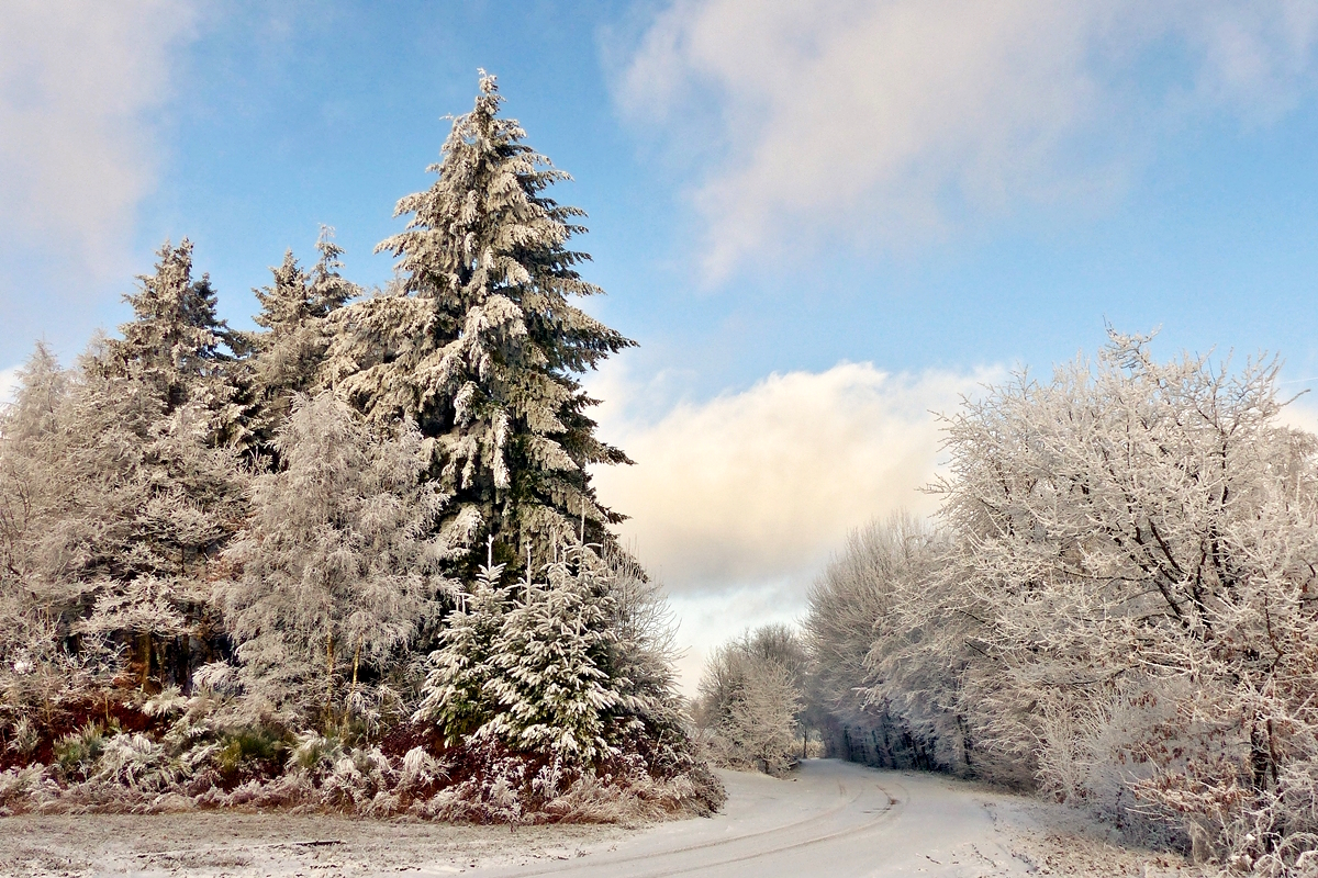 . Winterliche Landschaft in der N�he von Wiltz. 03.01.2017 (Jeanny)