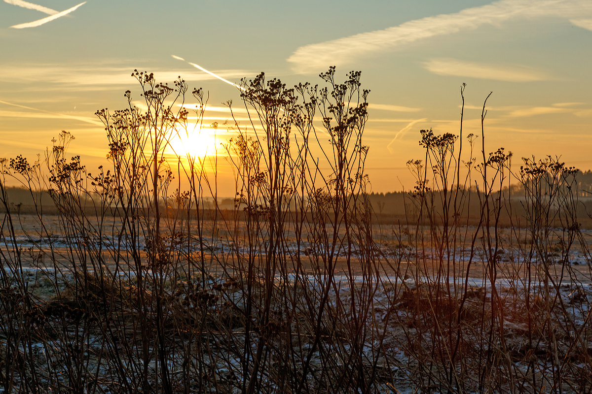 
Die Sonne ist gerade aufgegangen, Nisterau am 21.01.15.