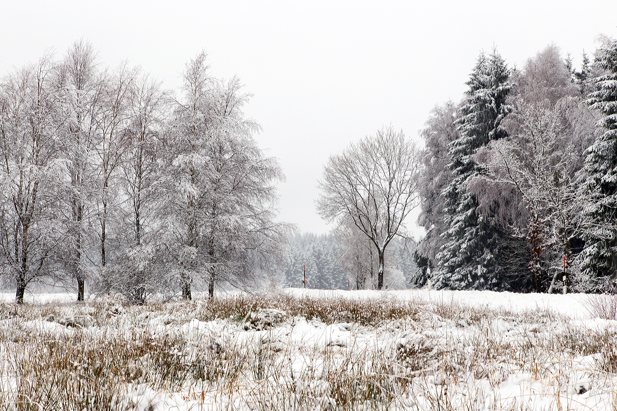 
Es ist wieder Winter auf den Höhen des Westerwaldes, hier am 26.01.2015 bei Nisterberg.
In den tieferen Lagen ist es Regen aber hier auf ca. 527 m.ü.M. sieht es doch anders aus.
