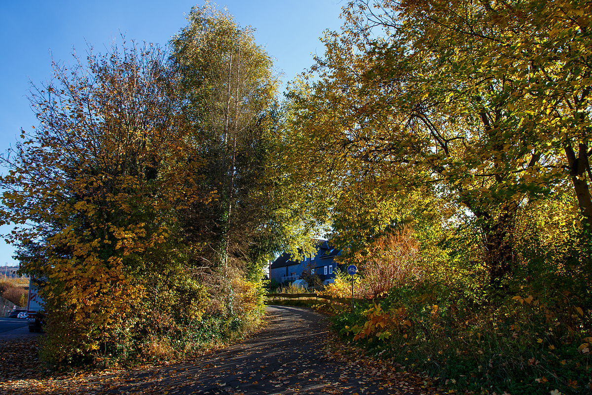 Herbstzeit im Hellertal.....
Hier am 28.10.2021 in Herdorf.
