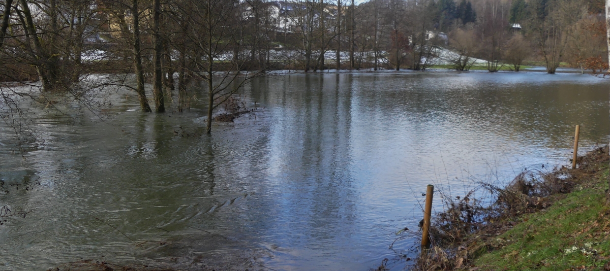 Hochwasser in Norden von Luxemburg. Drauffelt 11.01.2025