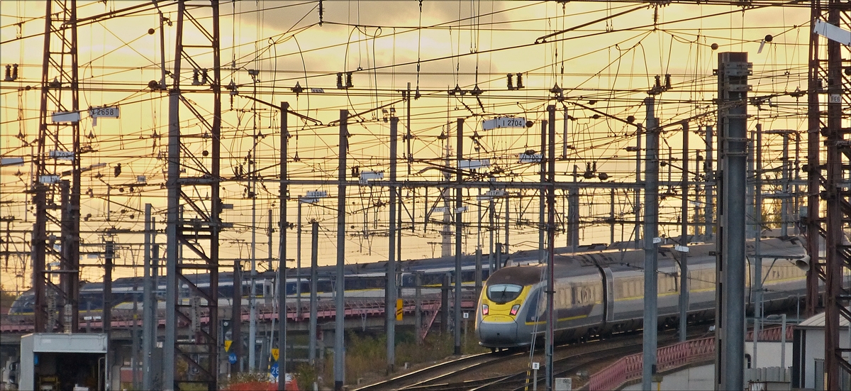 Motiv verdeckt - Im Mastenwald des Bahnhofsvorfeldes von Bruxelles-Midi kann man die L�nge des Eurostar Triebzuges nur erahnen. 18.11.2017 (Hans)