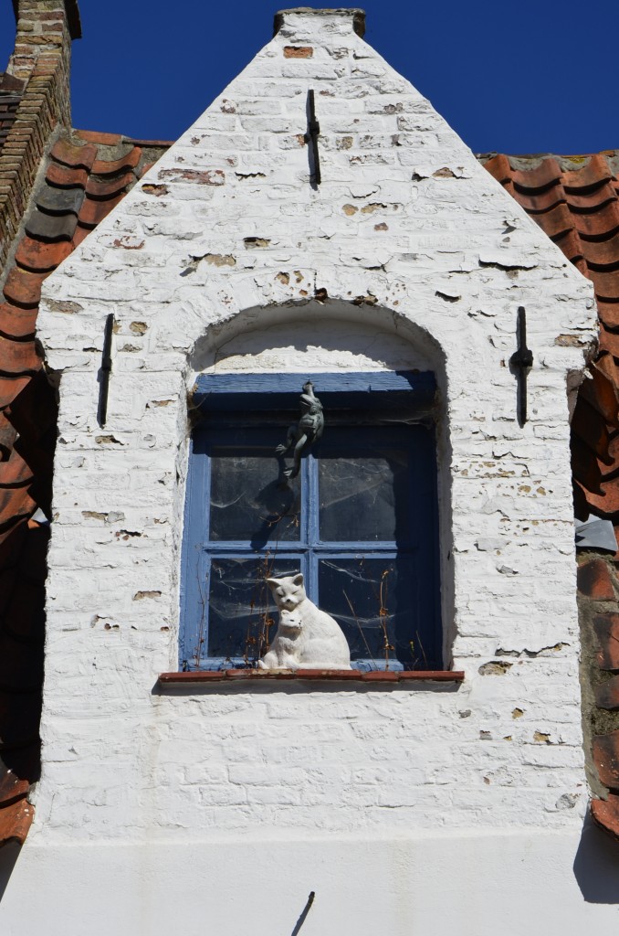  White cats  gesehen am 02.09.13 in Br�gge.