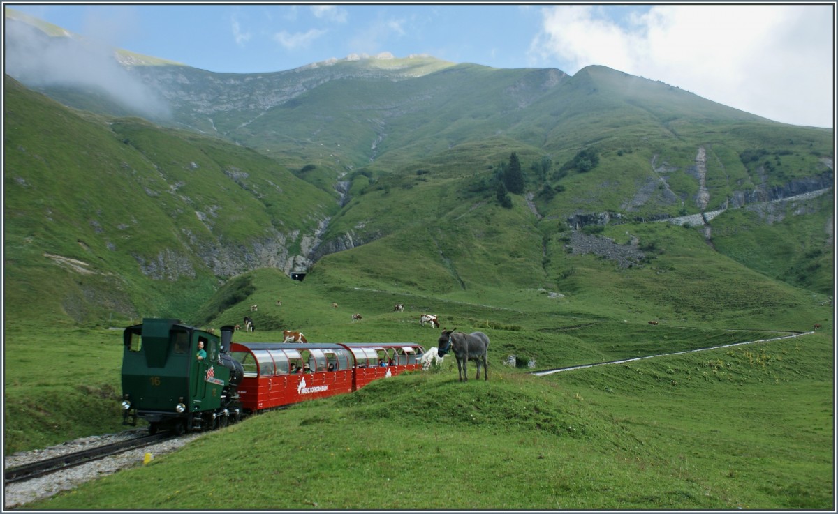  ...Wieso hat es f�r mich keinen Platz gehabt? , fragt sich der Esel, als er die noch freien Pl�tze beim vorbeifahrenden Zug sieht.
(30.08.2013)