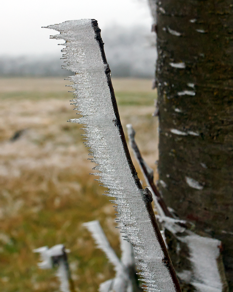 Winterliche Impressionen
P�nktlich zum 1. Dezember  hat der Winter auf dem Westerwald Einzug gehalten. 
Hier sieht man sehr gut wieviel Eis sich aufbaut, bei Nisterberg am 01.12.2014.