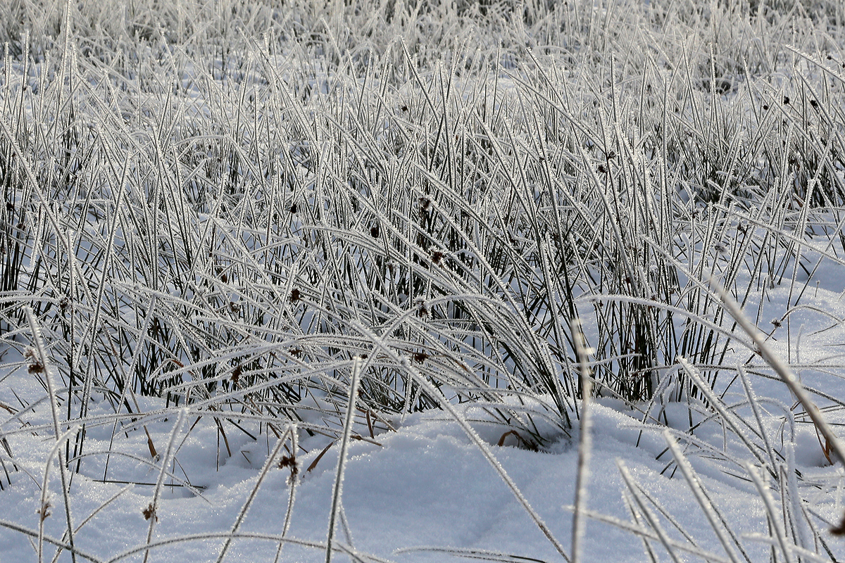 Winterzauber im Westerwald, bei Nisterau am 05.01.2015.

