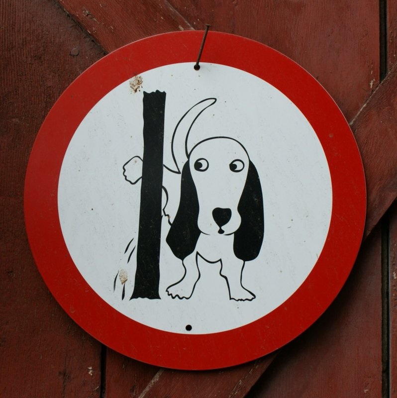 Am 01.01.2009 wurden auch neue Verkehrsregeln f�r Hunde eingef�hrt...
Gesehen im alten Dorfkern von Blonay.