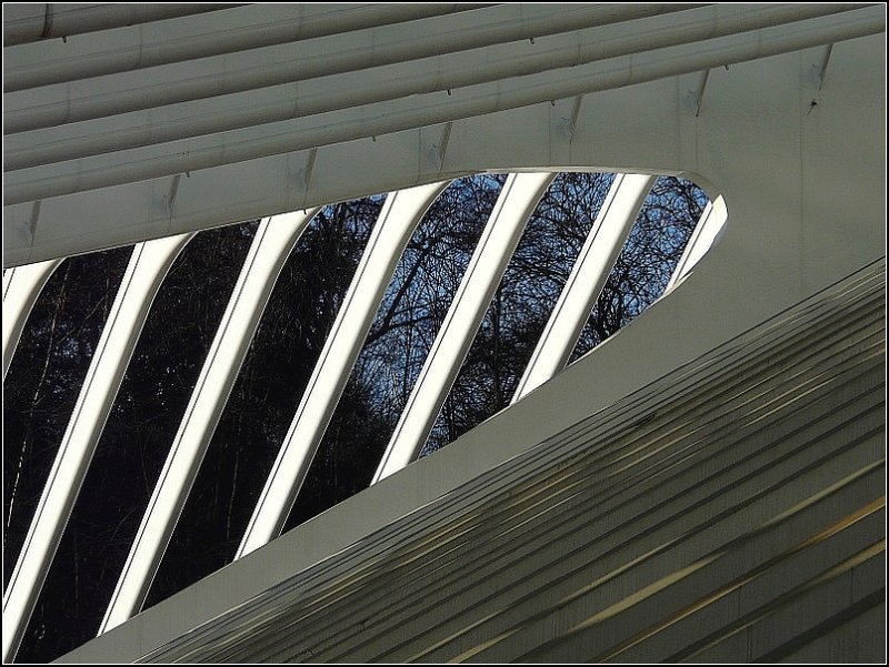 Dachimpressionen im Bahnhof Li�ge Guillemins. 27.12.08 (Jeanny)
