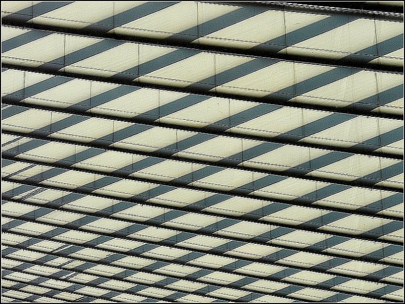 Dachimpressionen im Bahnhof Li�ge Guillemins. 27.12.08 (Jeanny)