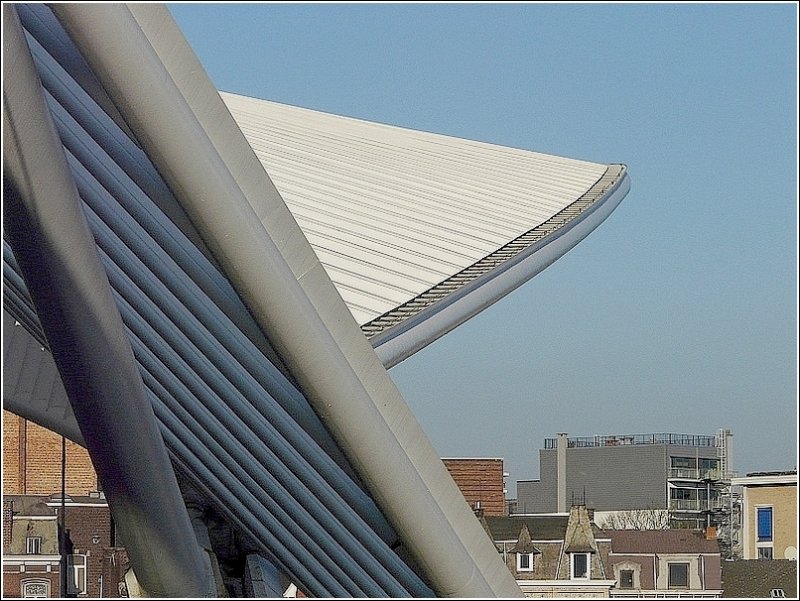 Das Dach des Bahnhofs Li�ge Guillemins einmal anders gesehen. 27.12.08 (Jeanny)