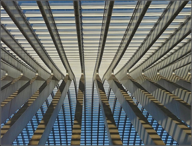 Das Dach des Bahnhofs Li�ge Guillemins. 27.12.08 (Jeanny)