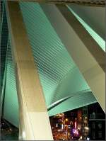 Li�ge Guillemins by night.