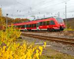   Motiv herbstlich verdeckt - Zwei gekuppelte 4-teilige Bombardier Talent 2 (BR 442 / 443) der DB Regio NRW erreichen bald (am 07.11.2015), als RE 9 (rsx - Rhein-Sieg-Express) Siegen - Köln -