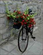 Ungew�hnlicher Blumenschmuck gesehen in Spontin am 14.08.2010 (Jeanny)