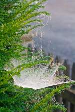   Impressionen vor unserem Haus....