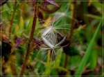 Der Herbst k�ndigt sich an.