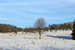   Winterlandschaft bei Nisterberg (Westerwald) am 05.01.2015.