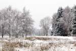   Es ist wieder Winter auf den Höhen des Westerwaldes, hier am 26.01.2015 bei Nisterberg.