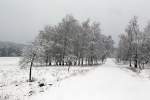   Es ist wieder Winter auf den Höhen des Westerwaldes, hier am 26.01.2015 bei Nisterberg.