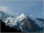 Die Silberh�rner (3695 m) aus der Wengernalpbahn fotografiert am 30.07.2008.