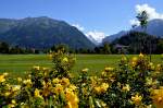 Besucher aus aller Welt kommen nach Interlaken, um diesen sch�nen Blick zu genie�en.