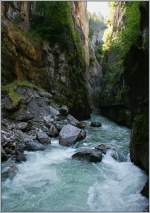 In der Aareschlucht  (07.06.2013)
