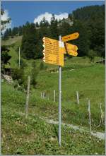 Ein Wegweisser auf der Planalp, der f�r alle Geschm�cker was bietet.
