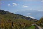 Herbstliches Ambiente im Lavaux.
