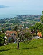   Blick auf den Genfersee am 27.05.2012 bei Chaulin.