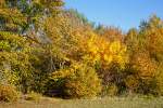   Goldener Herbst....
