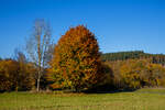 Herbstzeit im Siegerland...
