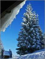 Winter auf Les Pl�iades.
