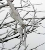 Winterliche Impressionen  P�nktlich zum 1.