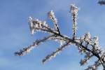 Winterspaziergang.