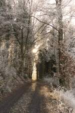 Winterspaziergang.